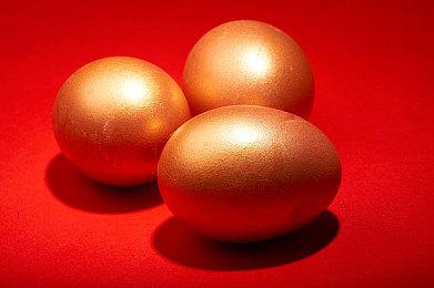 制作人希望《零：濡鸦之巫女》大卖后开发系列全新作